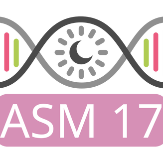 ASM